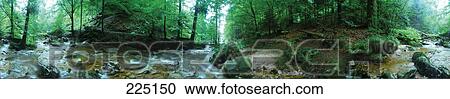 Creek flowing through forest, Germany View Large Photo Image Stock Image - Creek flowing through forest, Germany . Fotosearch