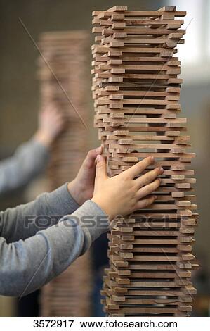 Elementary school students constructing towers from wooden parts, Friedheimschule, Flensburg, Schleswig-Holstein, Germany, Europe View Large Photo Image Stock Photo - Elementary school students constructing towers from wooden parts, Friedheimschule, Flensburg, Schleswig-Holstein, Germany, Europe . Fotosearch