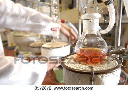 Female laboratory assistant in laboratory, Schleswig-Holstein, Europe View Large Photo Image Stock Image - Female laboratory assistant in laboratory, Schleswig-Holstein, Europe . Fotosearch