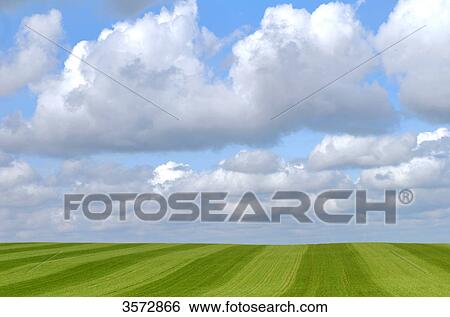 Field and clouds, Schleswig-Holstein, Germany, Europe View Large Photo Image Stock Photograph - Field and clouds, Schleswig-Holstein, Germany, Europe . Fotosearch
