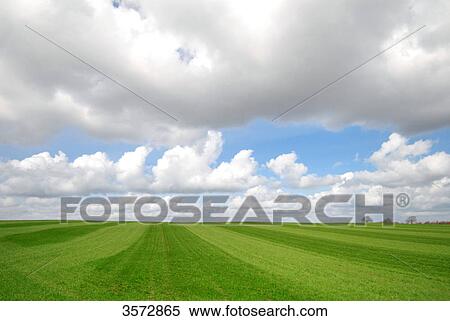 Field and clouds, Schleswig-Holstein, Germany, Europe View Large Photo Image Stock Photography - Field and clouds, Schleswig-Holstein, Germany, Europe . Fotosearch