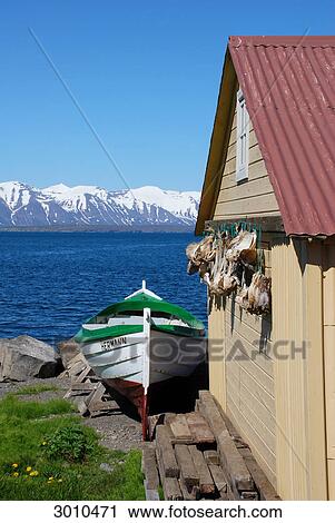 Fishing boat beside a house where fish is drying, Grenivik, Iceland View Large Photo Image Stock Image - Fishing boat beside a house where fish is drying, Grenivik, Iceland . Fotosearch