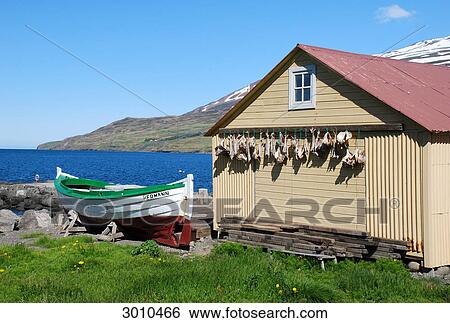 Stock Photograph - Fishing boat beside a house where fish is drying, Grenivik, Iceland . Fotosearch