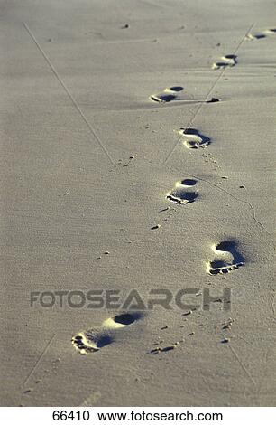 Footprints on sandy beach View Large Photo Image Stock Image - Footprints on sandy beach . Fotosearch
