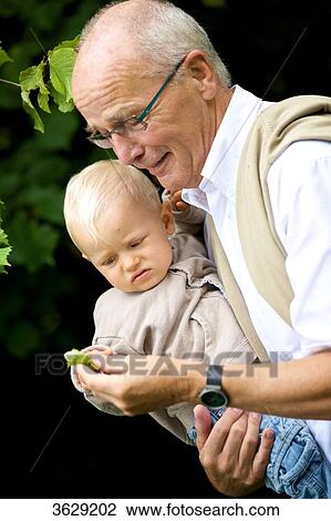 Grandfather carrying toddler outdoors View Large Photo Image Stock Image - Grandfather carrying toddler outdoors . Fotosearch