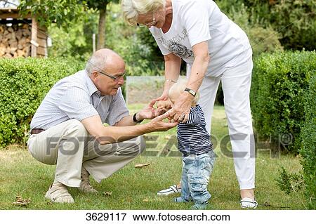 Grandparents with toddler in garden View Large Photo Image Stock Photo - Grandparents with toddler in garden . Fotosearch