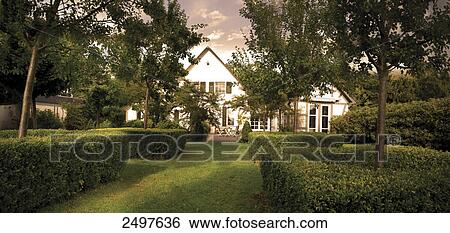 Hedges in front of house View Large Photo Image Stock Photograph - Hedges in front of house . Fotosearch