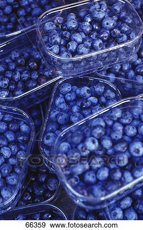Stock Photo - High angle view of boxes of blueberries . Fotosearch