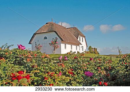 house, Foehr, Germany View Large Photo Image Stock Image - house, Foehr, Germany . Fotosearch