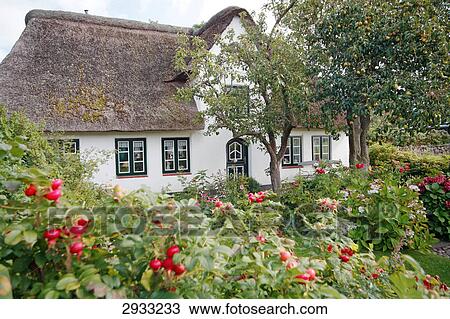 Stock Image - House, Foehr, Germany . Fotosearch
