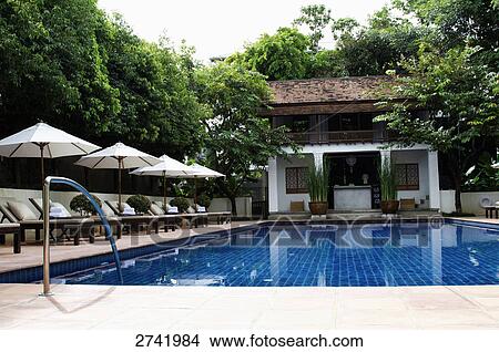 Lounge chairs and sunshades at poolside, Thailand View Large Photo Image Picture - Lounge chairs and sunshades at poolside, Thailand . Fotosearch
