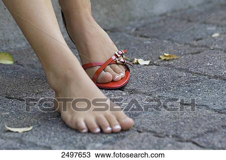 Low section view of woman taking of her sandal View Large Photo Image Stock Image - Low section view of woman taking of her sandal . Fotosearch