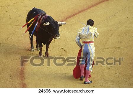 Matador in bullring with bull, Seville, Spain View Large Photo Image Stock Photograph - Matador in bullring with bull, Seville, Spain . Fotosearch