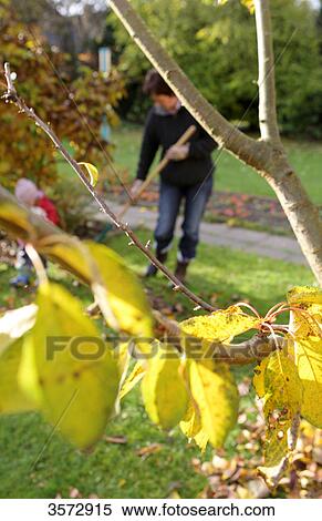 Stock Photography - Mother and daughter raking leaf in garden . Fotosearch
