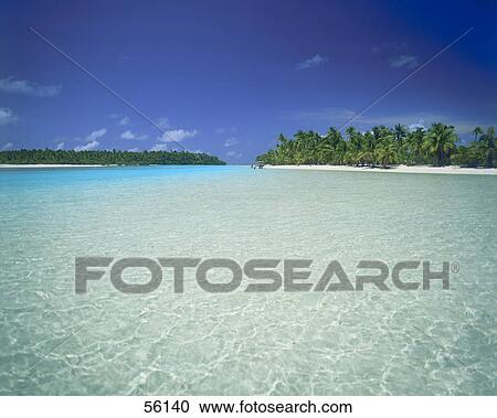 Stock Image - Palm trees on beach . Fotosearch