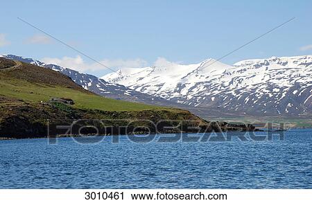 Rocky coast and snow-covered mountains in North Iceland, Grenivik, Iceland View Large Photo Image Stock Image - Rocky coast and snow-covered mountains in North Iceland, Grenivik, Iceland . Fotosearch