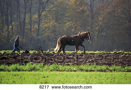 Side profile of farmer ploughing field with horse, Germany View Large Photo Image Stock Photo - Side profile of farmer ploughing field with horse, Germany . Fotosearch