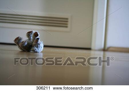 Teddy bear on floor View Large Photo Image Stock Image - Teddy bear on floor . Fotosearch
