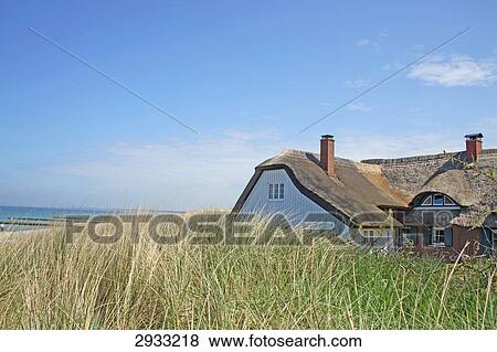 Stock Photo - Thatched house amidst the dunes of Darss, Germany . Fotosearch
