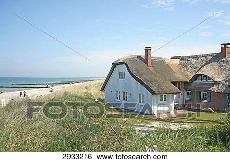 Thatched house amidst the dunes of Darss, Germany View Large Photo Image Stock Photograph - Thatched house amidst the dunes of Darss, Germany . Fotosearch