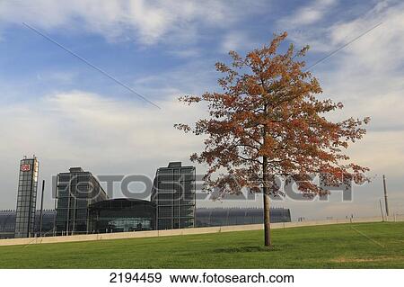 Stock Photo - Tree in park with railroad station in background, Spreebogen Park, New Central Station, Berlin Hauptbahnhof, Berlin, Germany . Fotosearch