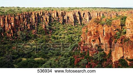 Picture - Trees in crevice, Namibia . Fotosearch