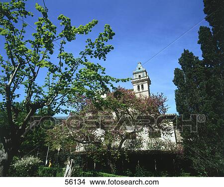 Picture - Trees in garden in front of monastery, Valldemossa, Majorca, Balearic Islands, Spain . Fotosearch