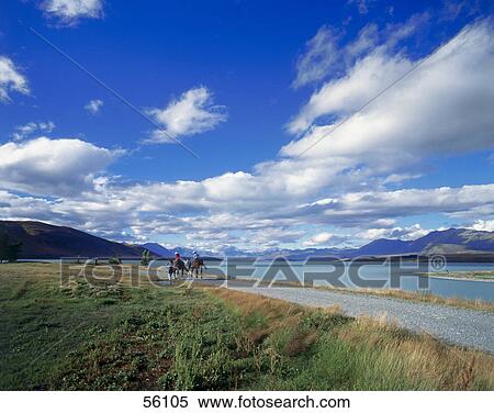 Two people riding horses at the coast, Lake Tekapo, South Island, New Zealand View Large Photo Image Stock Photography - Two people riding horses at the coast, Lake Tekapo, South Island, New Zealand . Fotosearch
