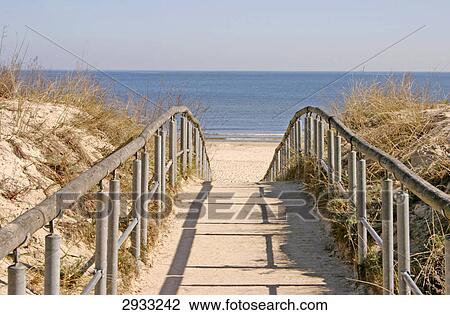 Stock Image - way to the beach, Mecklenburg-Western Pomerania, Germany . Fotosearch
