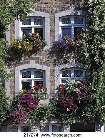 Chalet with flowers View Large Photo Image Picture - Chalet with flowers . Fotosearch