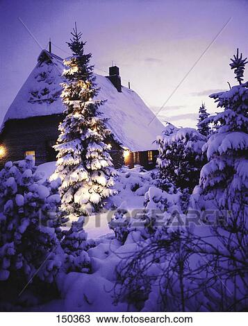 Stock Image - Christmas tree in snow before house . Fotosearch