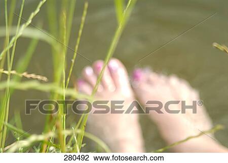 Stock Image - Close-up of grass . Fotosearch