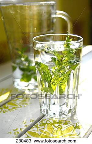 Close-up of mint leaves in a glass View Large Photo Image Stock Image - Close-up of mint leaves in a glass . Fotosearch