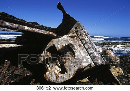 Stock Image - Close-up of wreck of the Thomas T tucker, Cape Peninsula, Southern Africa . Fotosearch