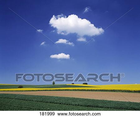 Clouds in sky above field on rural landscape, Hesse, Germany View Large Photo Image Stock Photo - Clouds in sky above field on rural landscape, Hesse, Germany . Fotosearch