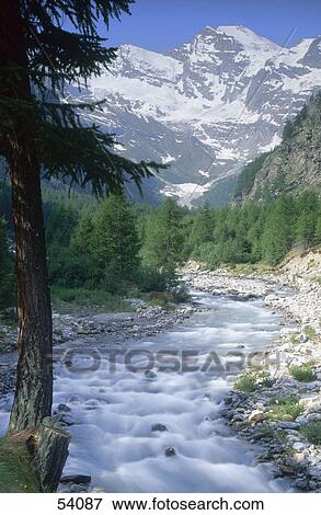 Stock Photo - Creek flowing through forest, Gran Paradiso National Park, Piedmont, Italy . Fotosearch