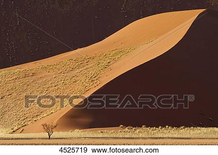 Stock Photo - Crest of a red sand dune at Sossusvlei in Naukluft National Park, Namib Desert, Namibia . Fotosearch