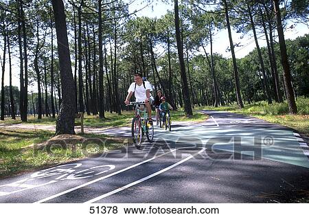 Cyclists in action on bicycle path, Sanguinet, France View Large Photo Image Stock Photo - Cyclists in action on bicycle path, Sanguinet, France . Fotosearch