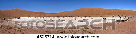 Dead Vlei in Naukluft National Park, Namib Desert, Namibia, panorama View Large Photo Image Picture - Dead Vlei in Naukluft National Park, Namib Desert, Namibia, panorama . Fotosearch