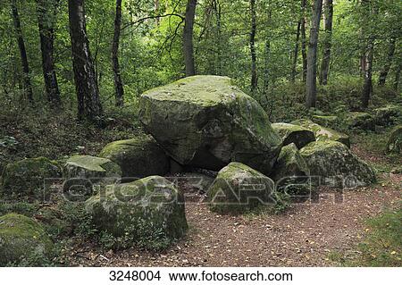 Picture - Dolmen in a forest, Freren, Germany . Fotosearch