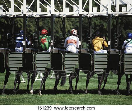 Five jockeys participating in horse race View Large Photo Image Stock Photo - Five jockeys participating in horse race . Fotosearch