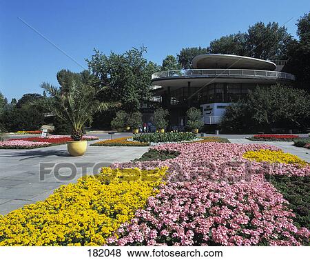 Stock Photo - Flowers blooming in front of coffee shop, Duesseldorf, Germany . Fotosearch