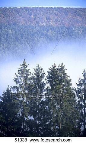 Fog over valley, Odenwald Forest, Germany View Large Photo Image Stock Photo - Fog over valley, Odenwald Forest, Germany . Fotosearch