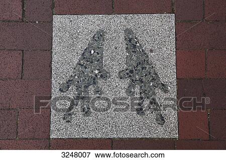 Footprints of a frog on a paving stone, view upon, close-up View Large Photo Image Stock Photo - Footprints of a frog on a paving stone, view upon, close-up . Fotosearch