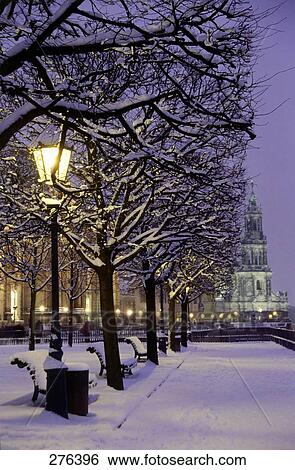 Stock Photograph - Frozen trees in front of church, Elbe River, Church of Our Lady, Hofkirche, Bruhl Terrace, Dresden, Saxony, Germany . Fotosearch