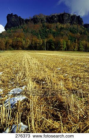 Stock Image - Harvested field in front forest, Saxony, Germany . Fotosearch