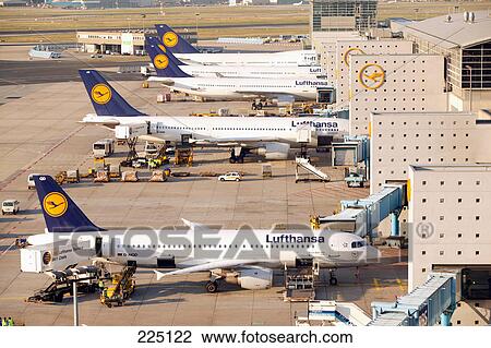 High angle view of airplanes at airport, Frankfurt Rhein-Main Airport, Frankfurt, Germany View Large Photo Image Stock Image - High angle view of airplanes at airport, Frankfurt Rhein-Main Airport, Frankfurt, Germany . Fotosearch