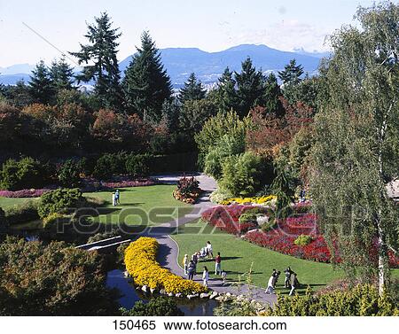 High angle view of tourists in park, Queen Elizabeth Park, Vancouver, British Columbia, Canada View Large Photo Image Stock Photography - High angle view of tourists in park, Queen Elizabeth Park, Vancouver, British Columbia, Canada . Fotosearch