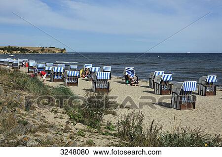 Hooded beach chairs at the coast of Boltenhagen, Germany View Large Photo Image Stock Image - Hooded beach chairs at the coast of Boltenhagen, Germany . Fotosearch