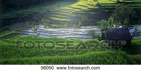 Stock Image - Hut on a rural landscape . Fotosearch